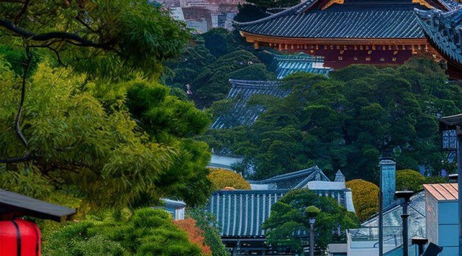 Grand Japonya - Kore Turu, Vizesiz -Turk Hava Yolları-