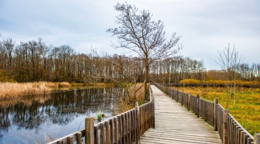 Edirne Kakava Şenlikleri & İstanbul Turu