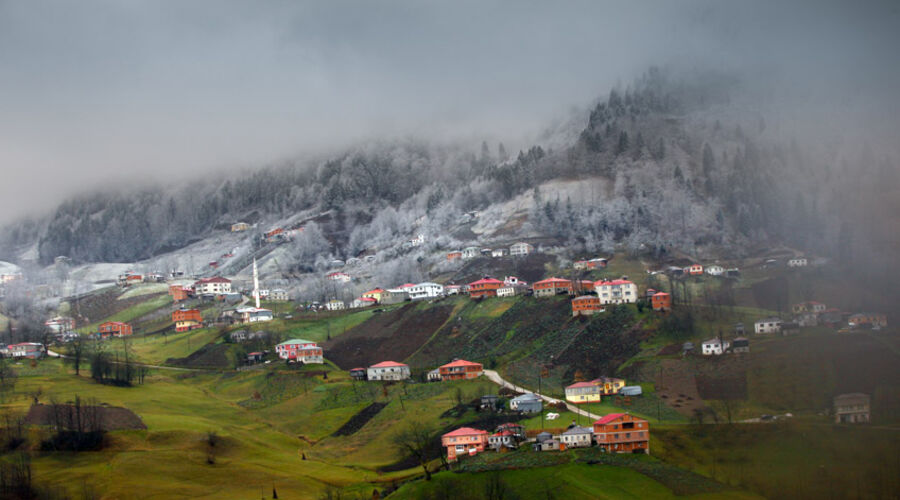 Uçakla Gürcistan-Batum & Ayder Yaylası Turu ( Rize başlar, Rize biter )