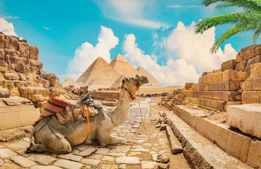 Vizesiz Nil İncileri; Kahire & Luxor & İskenderiye Turu