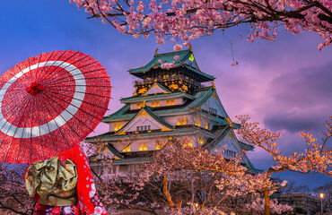 Grand Japonya Turu, Vizesiz -Turk Hava Yolları-