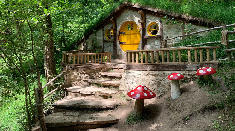 Ağva, Şile, Ormanya, Maşukiye, Abant, Gölcük Turu