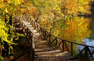 Ağva, Şile, Ormanya, Maşukiye, Abant, Gölcük Turu