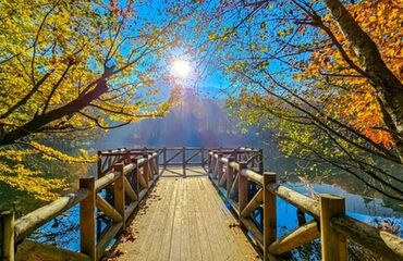 Orta & Batı Karadeniz Rüzgarı Turları - 2026 Sezon