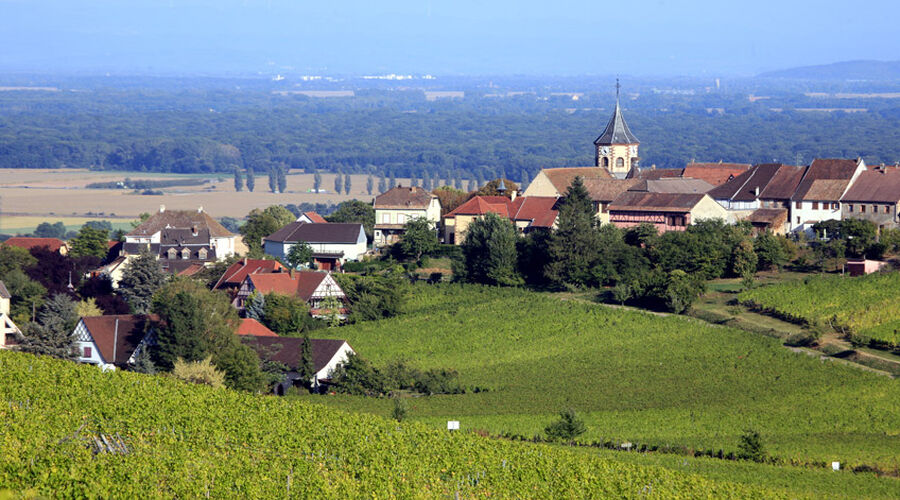 Noel Zamanı, Alsace Turu ( Tüm Turlar Dahil )