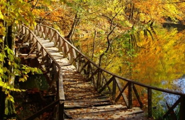 Şok Bahar Promosyonu, Batı Karadeniz ve Yedigöller Turları