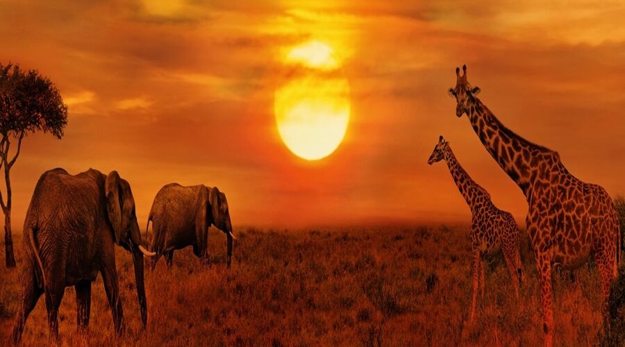 Afrika Büyüsü - Guney Afrika - Victoria Şelaleleri - Botswana ( Ramazan Bayramı )