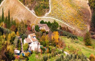 Andrea Bocelli  30.Yıl Özel  Toscana Konseri ( Santa Margerita & Chianti )