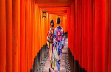 Sonbaharın Muhtesem Renkleri ile  Koyo Zamanı Japonya