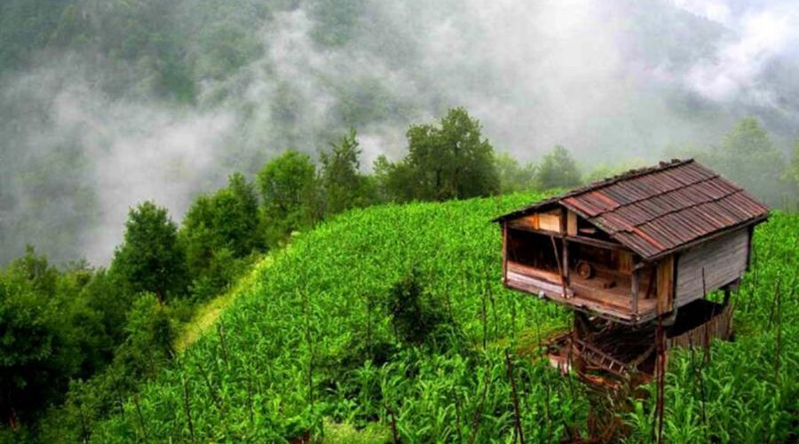 Uçakla Karadeniz Yaylalar Rüzgarı ve Batum Turları (Trabzon başlar, Trabzon biter)