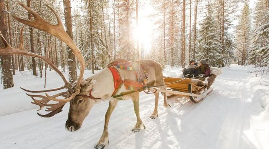 İzmir`den Aktarmasız Direkt; LAPLAND Kuzey Işıkları Turu