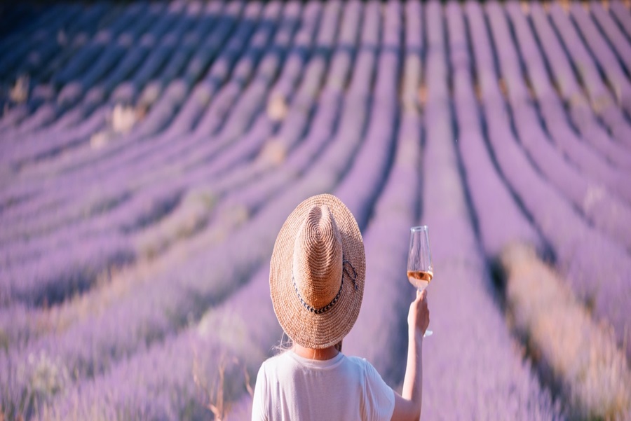 Lavanta Mevsiminde Provence  & Rhone Vadisi