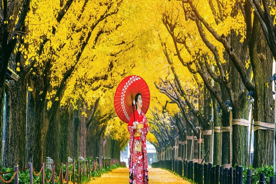Sonbaharın Muhtesem Renkleri ile  Koyo Zamanı Japonya