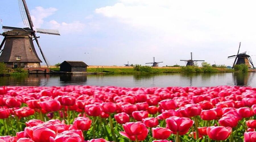 Amadeus Brilliant Nehir Gemisi ile Ren Nehrinde Lale Zamanı Özel Sefer