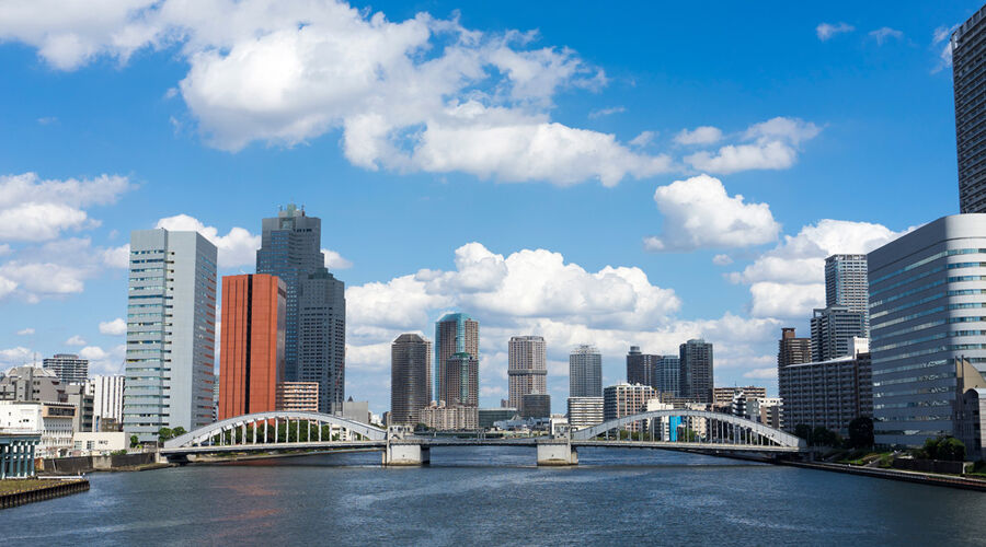 Grand Japonya Turu, Vizesiz -Turk Hava Yolları-